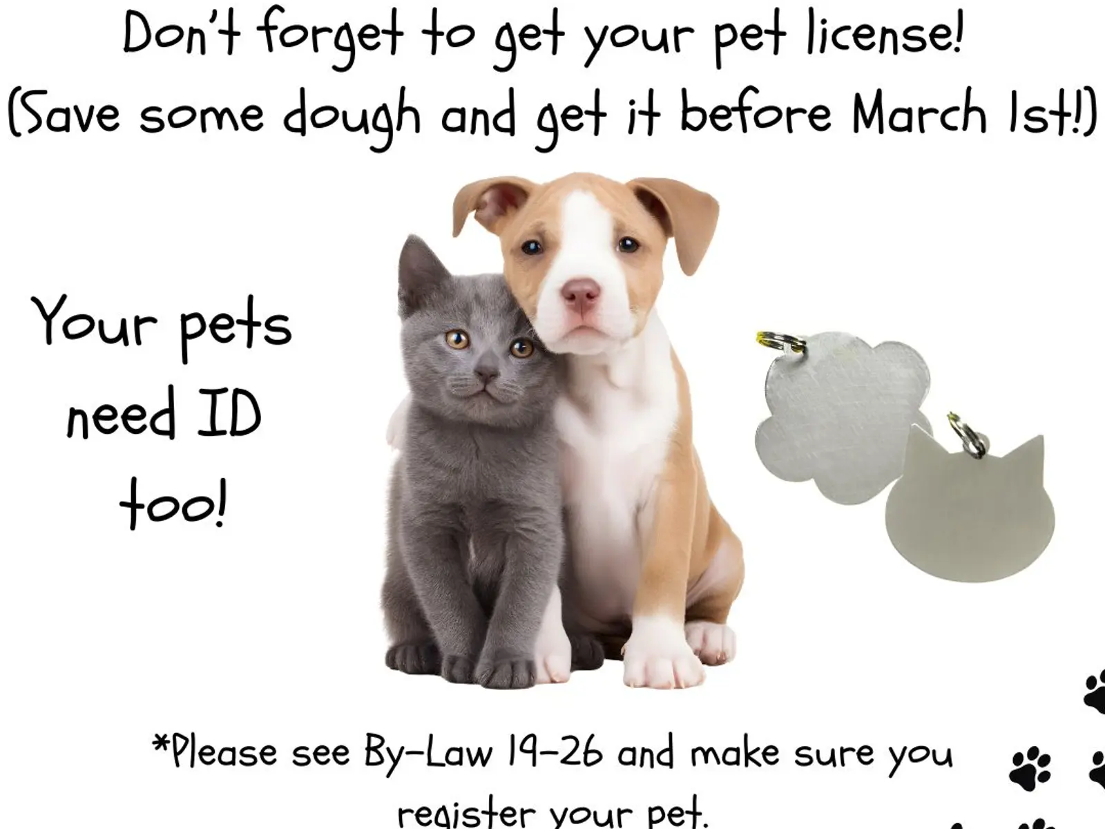 pet-tag-renewal-town-of-blind-river